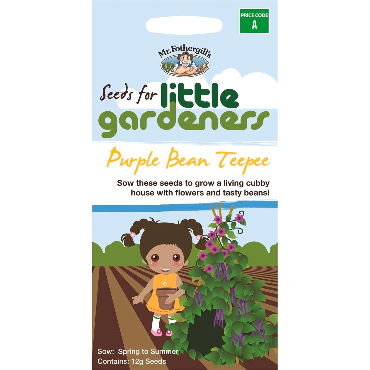 Mr Fothergill Bean - 75mm - Seeds - Easy to Grow Purple Beans