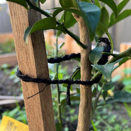 Pillar Black Coco Twine 40m