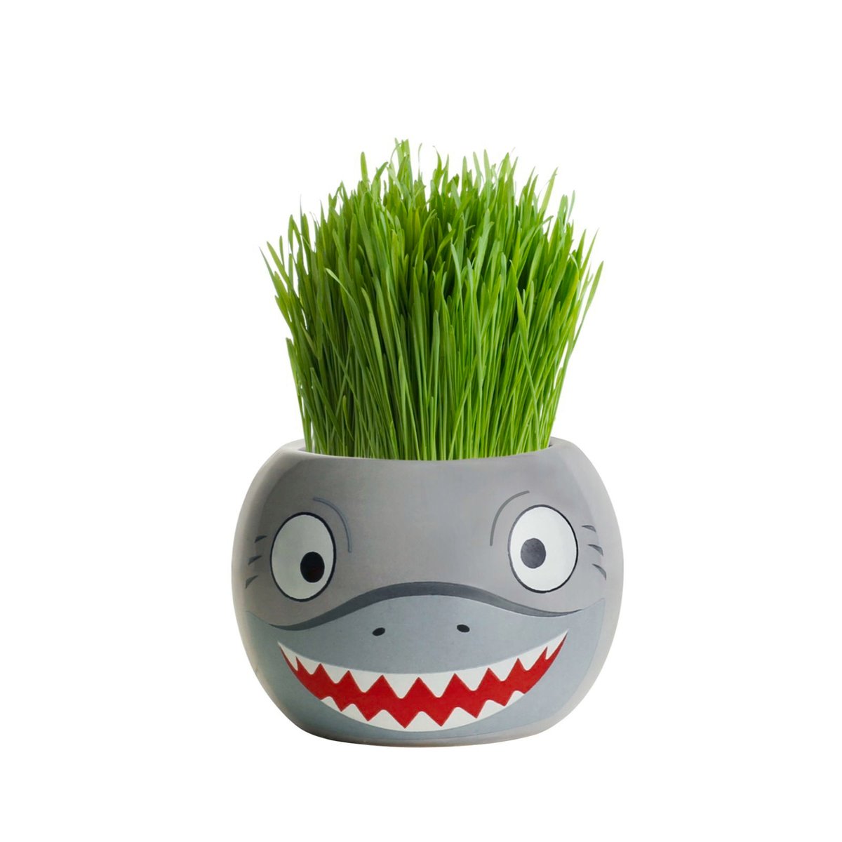 Mr Fothergill Grass Hair Shark - 60mm - Ryegrass - Fun Indoor Growing