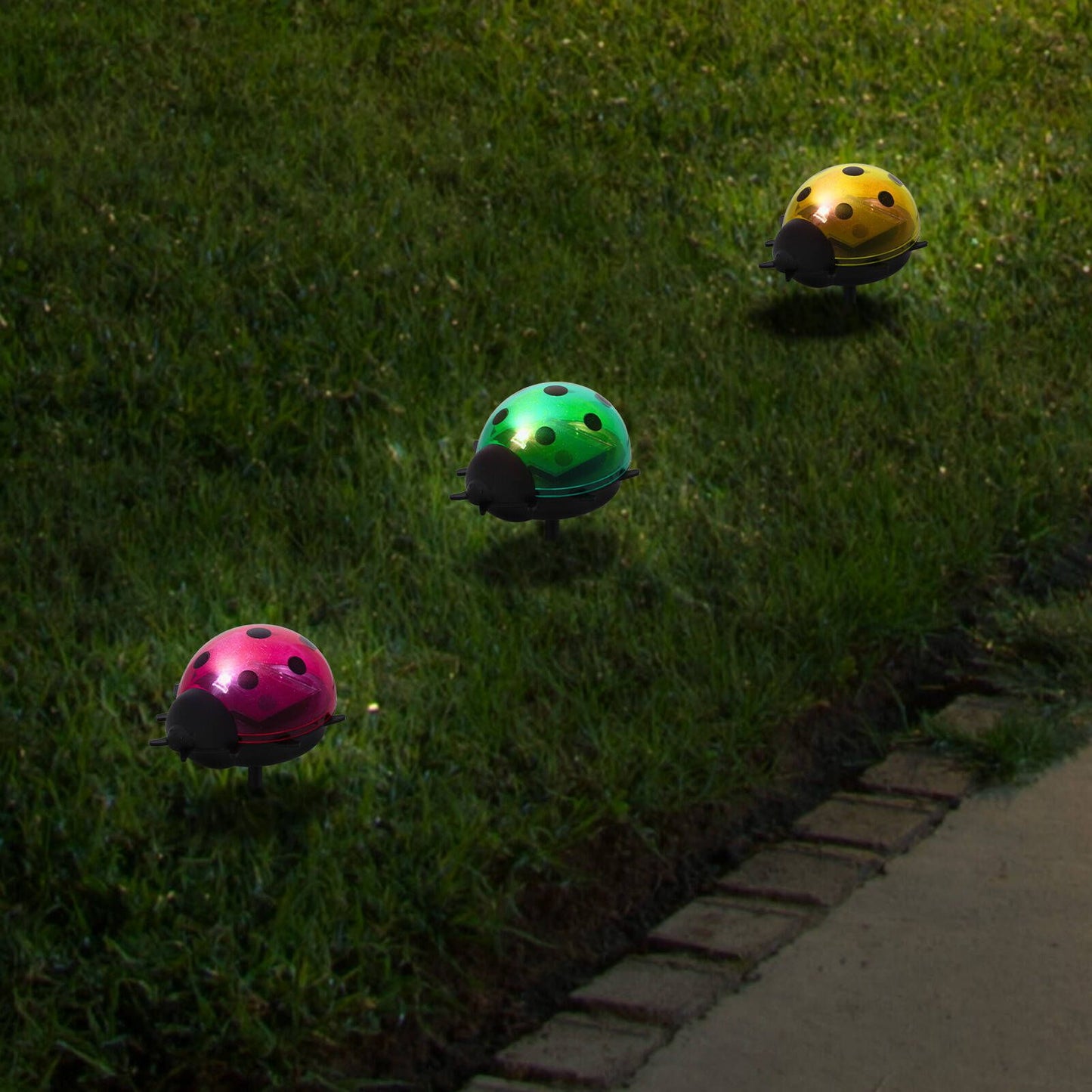 Click Solar Path Light Ladybug - 60 x 140mm - Red