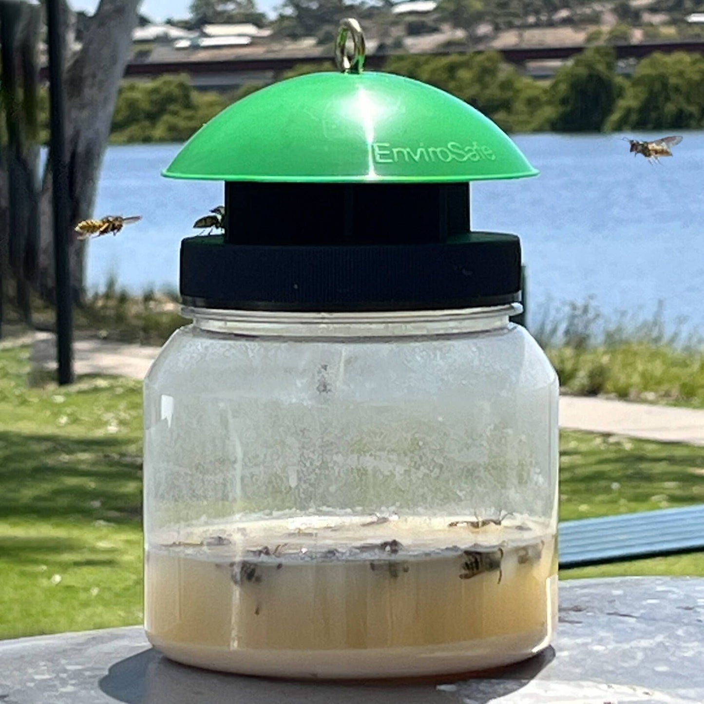 Envirosafe European Wasp Bait Refill - 2 Pack