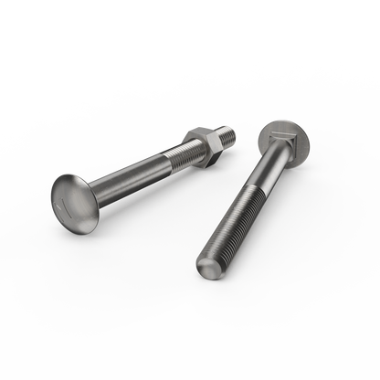 Zenith M12 x 120mm - Stainless Steel 304 Cup Head Bolts & Nuts - 12 Pack