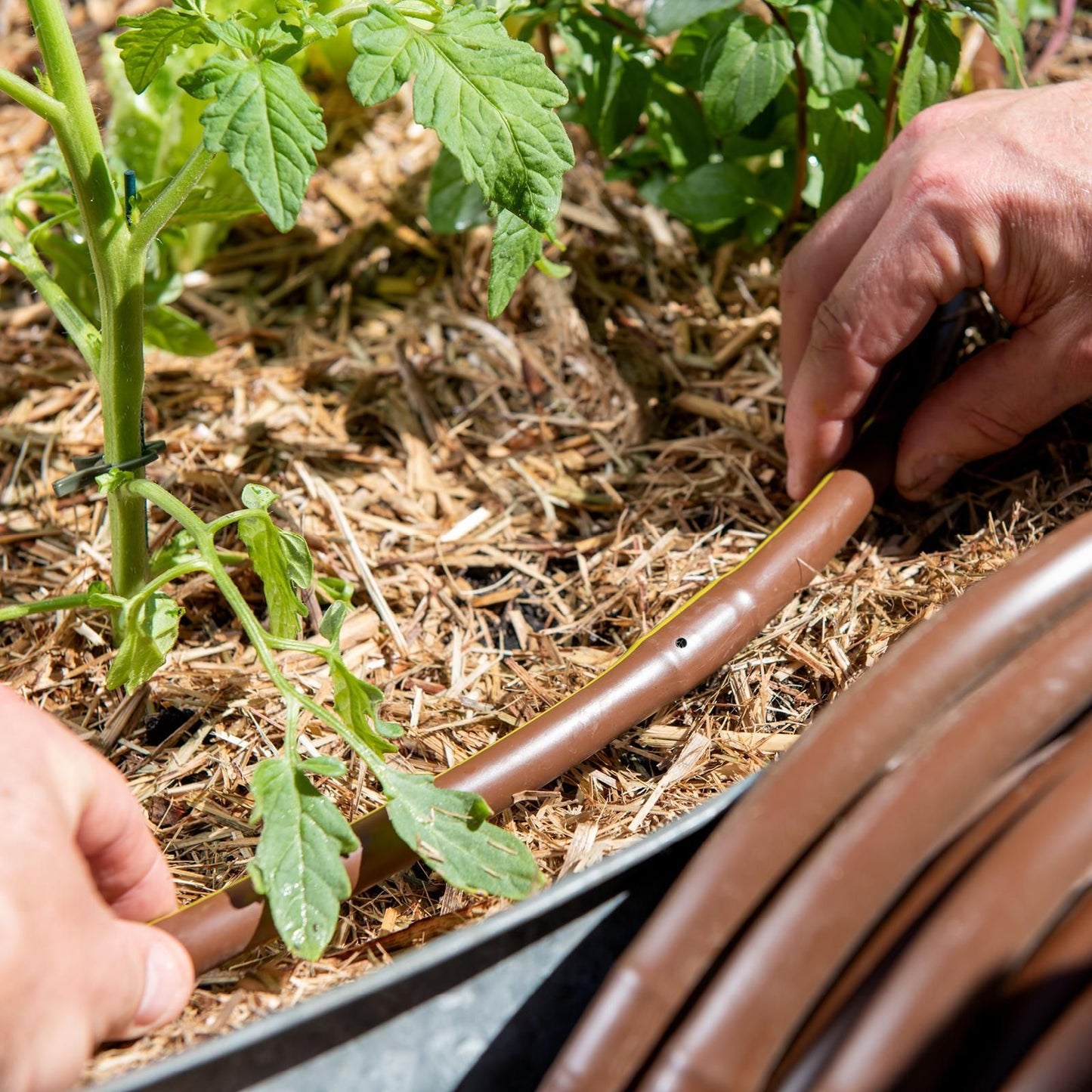 Pope Drip Eze Drip Irrigation Tube - 13mm x 50m - Brown