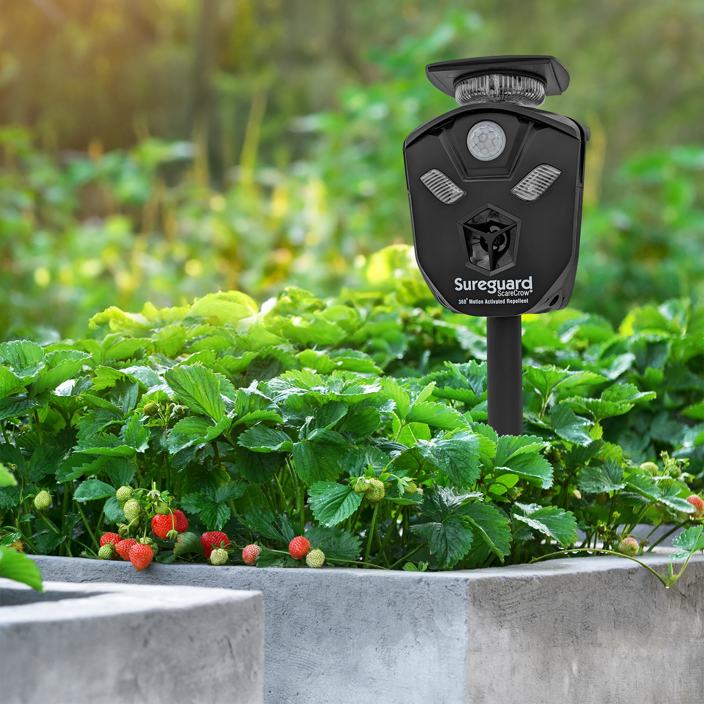 Sureguard Scarecrow 360 Degree Motion Activated Ultrasonic Animal Repellent