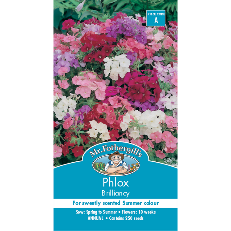 Mr Fothergill Phlox Brilliancy Flower Seeds