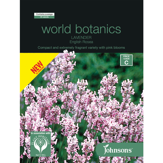 Johnsons World Botanics Lavender English Rosea Seeds Pack