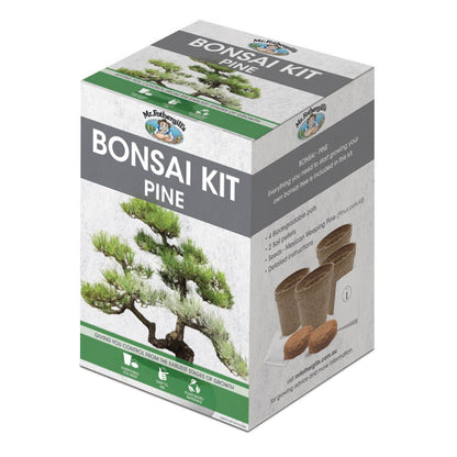 Mr Fothergill Bonsai Kit - Mexican Weeping Pine