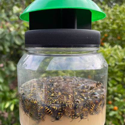 Envirosafe European Wasp Trap