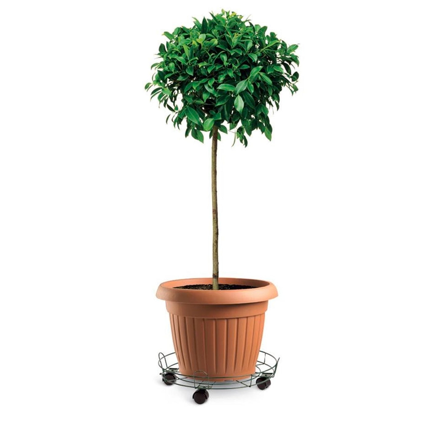 Eden Pot Trolley - 33cm