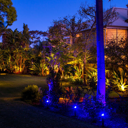 Holman RGB Colour Bluetooth Garden Light Controller 60W