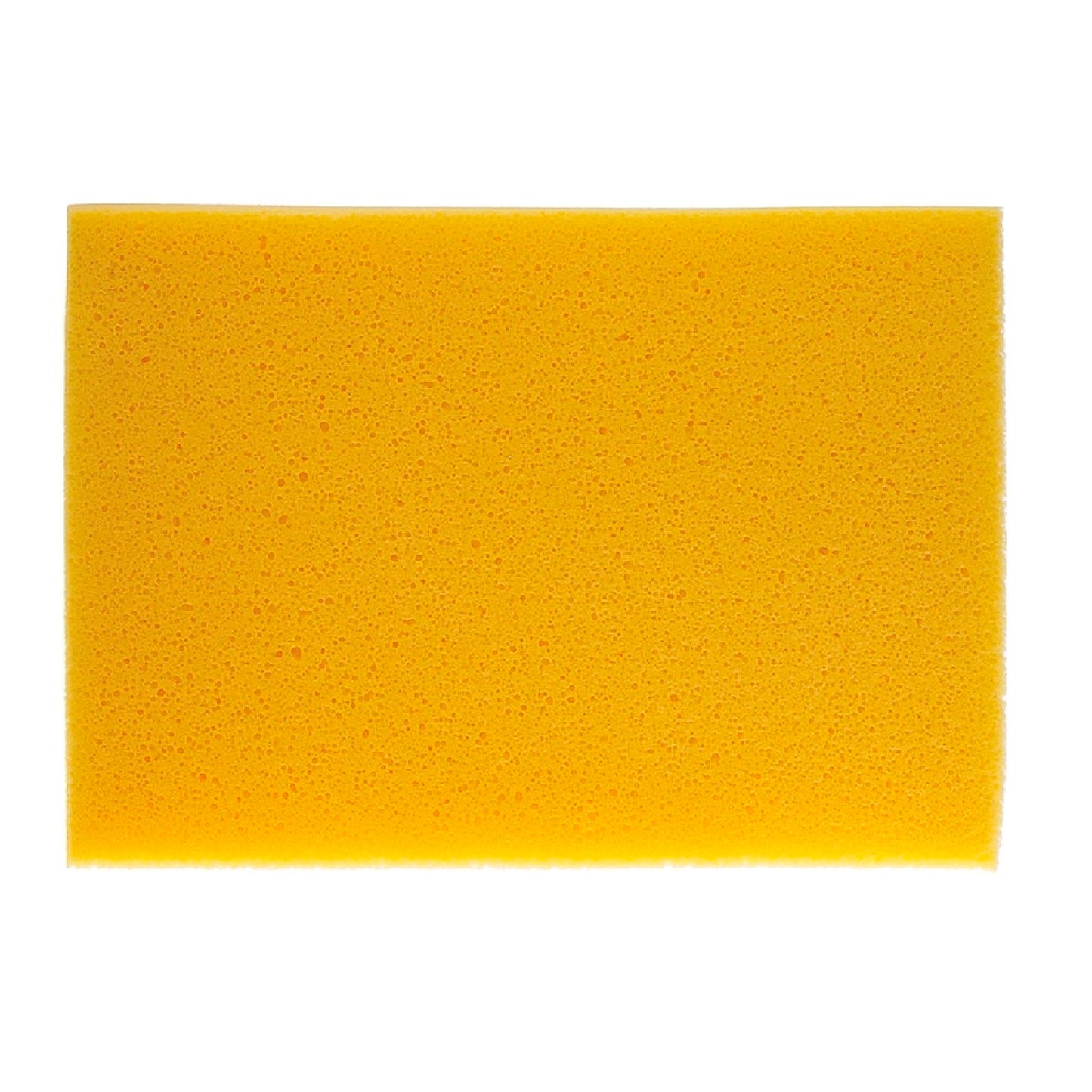 DTA Tilers N Slaters Hydro Sponge - 300mm