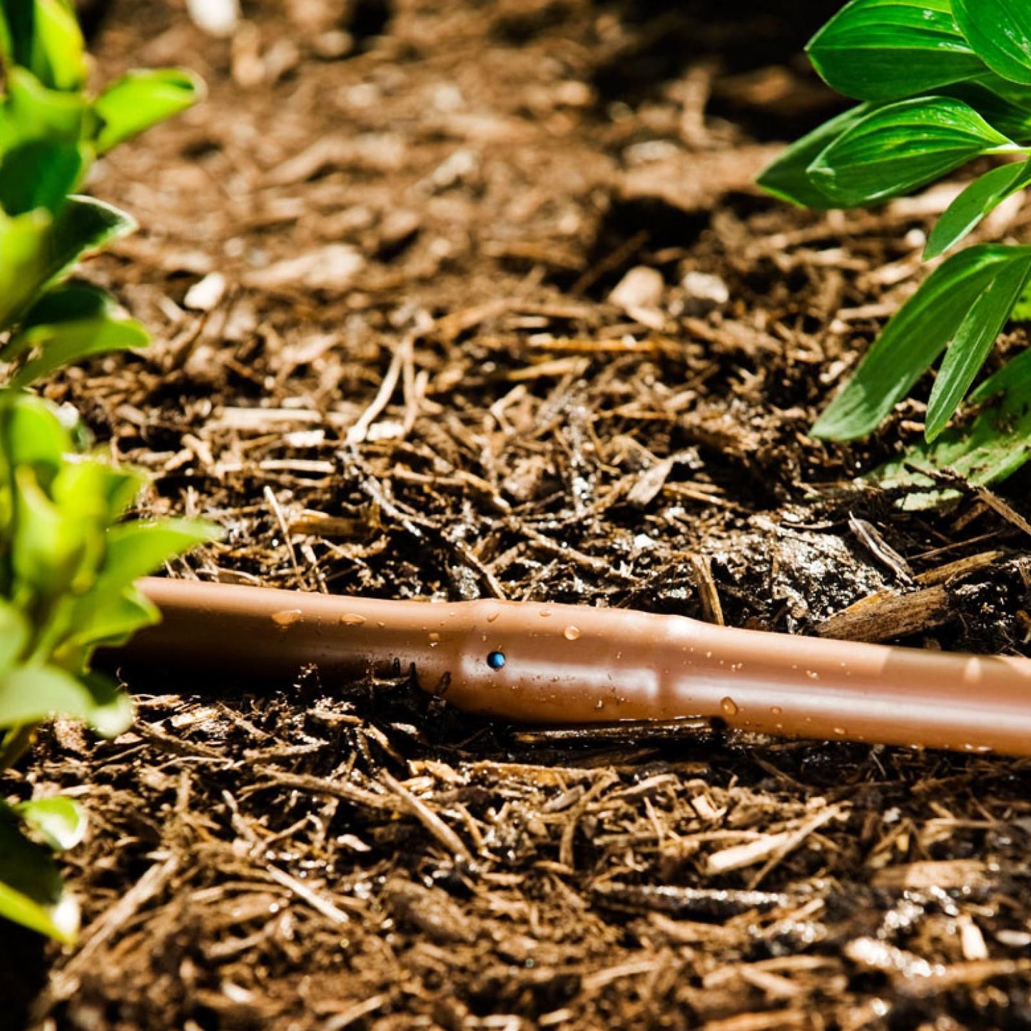 Pope Drip Eze Drip Irrigation Tube - 13mm x 50m - Brown