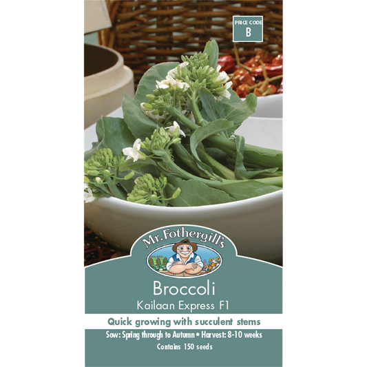 Mr Fothergill's Kailaan Broccoli Seeds