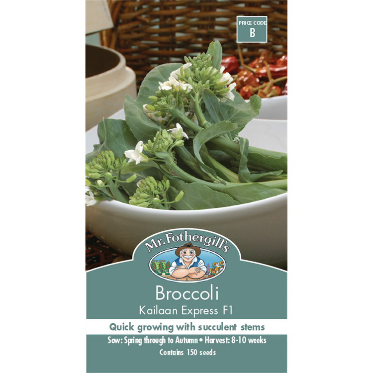 Mr Fothergill's Kailaan Broccoli Seeds