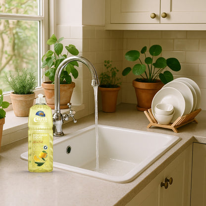 Earth Choice Dishwashing Liquid 1l
