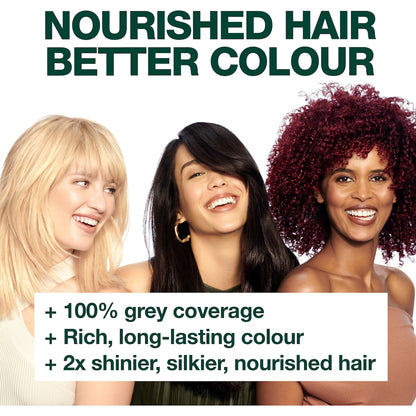 Garnier Nutrisse Permanent Hair Colour 6 Acorn Each