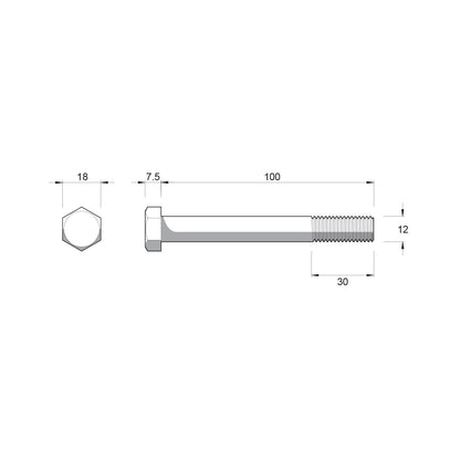 Zenith Hex Head Bolts & Nuts - M12 x 100mm - Stainless Steel 304