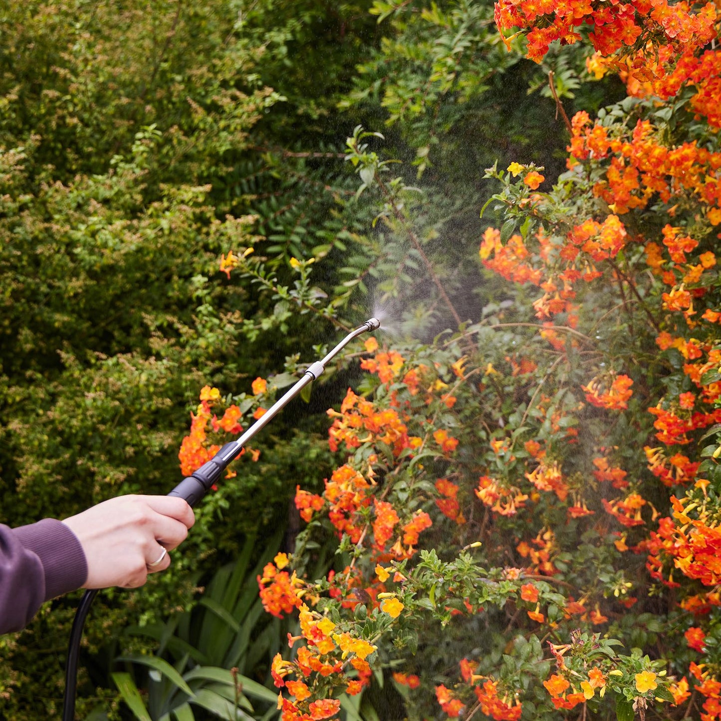 Nylex Battery Garden Sprayer - 8L