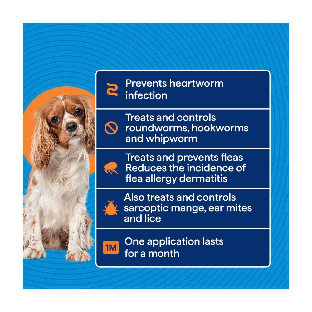 Totalcare Heartworm Flea Prot Small Dog Treatment - 1 Pack