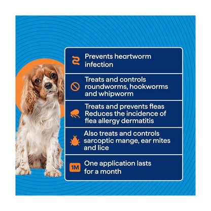 Totalcare Heartworm Flea Prot Small Dog Treatment - 1 Pack