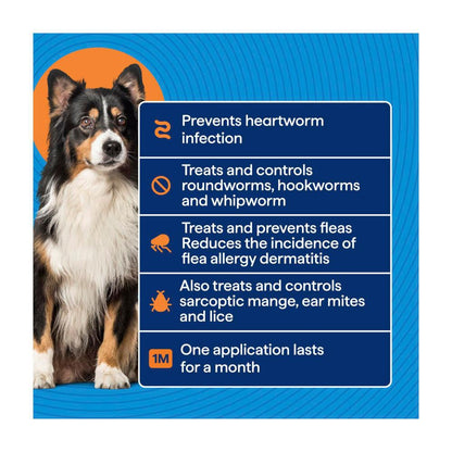 Totalcare Heartworm Flea Prot Med Dog Treatment - 1 Pack