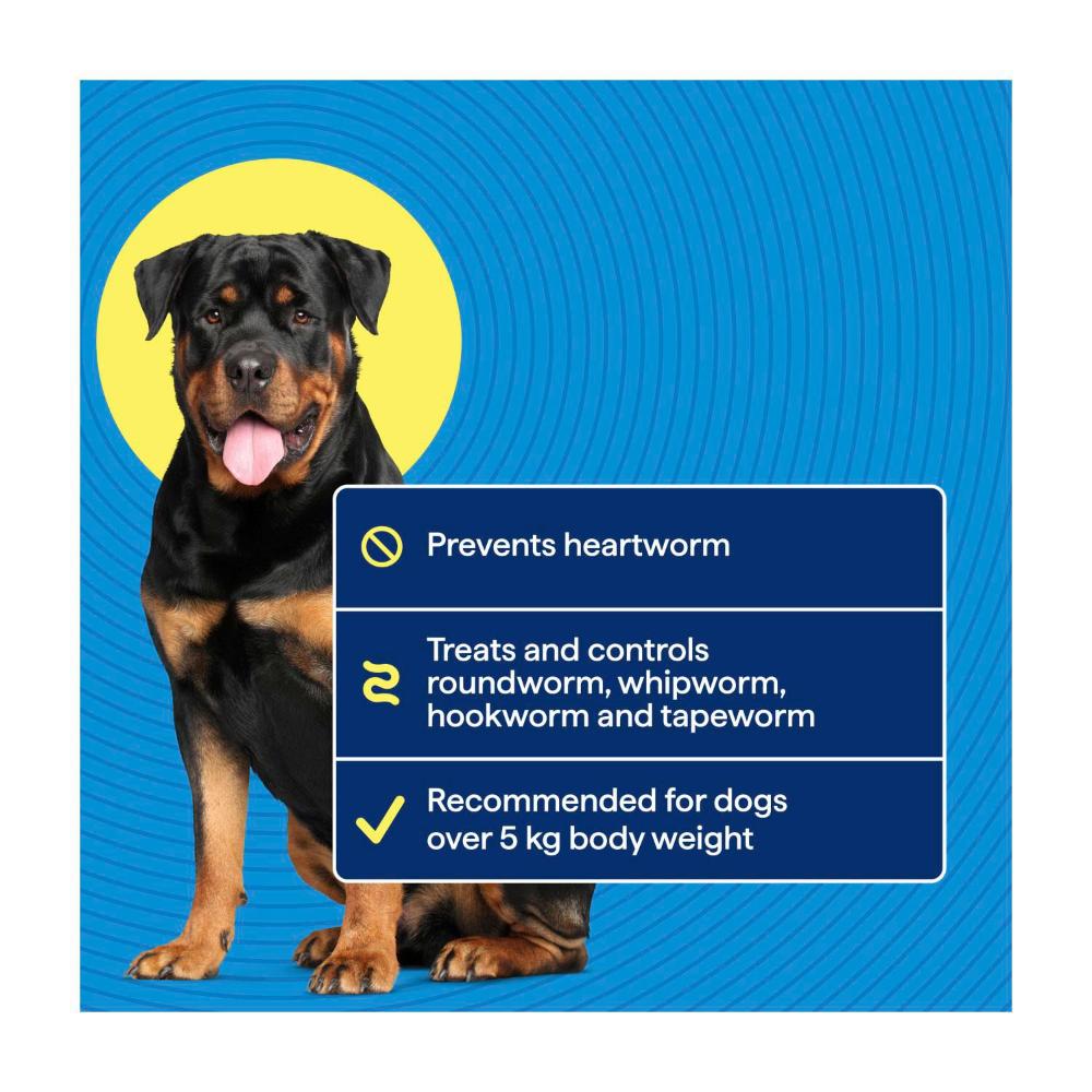 Totalcare Heartwormer Prot Medium & Large Dogs Treatment - 2 Pack