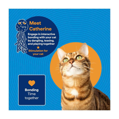 Totalcare Cat Toy Dangler - 1 Pack