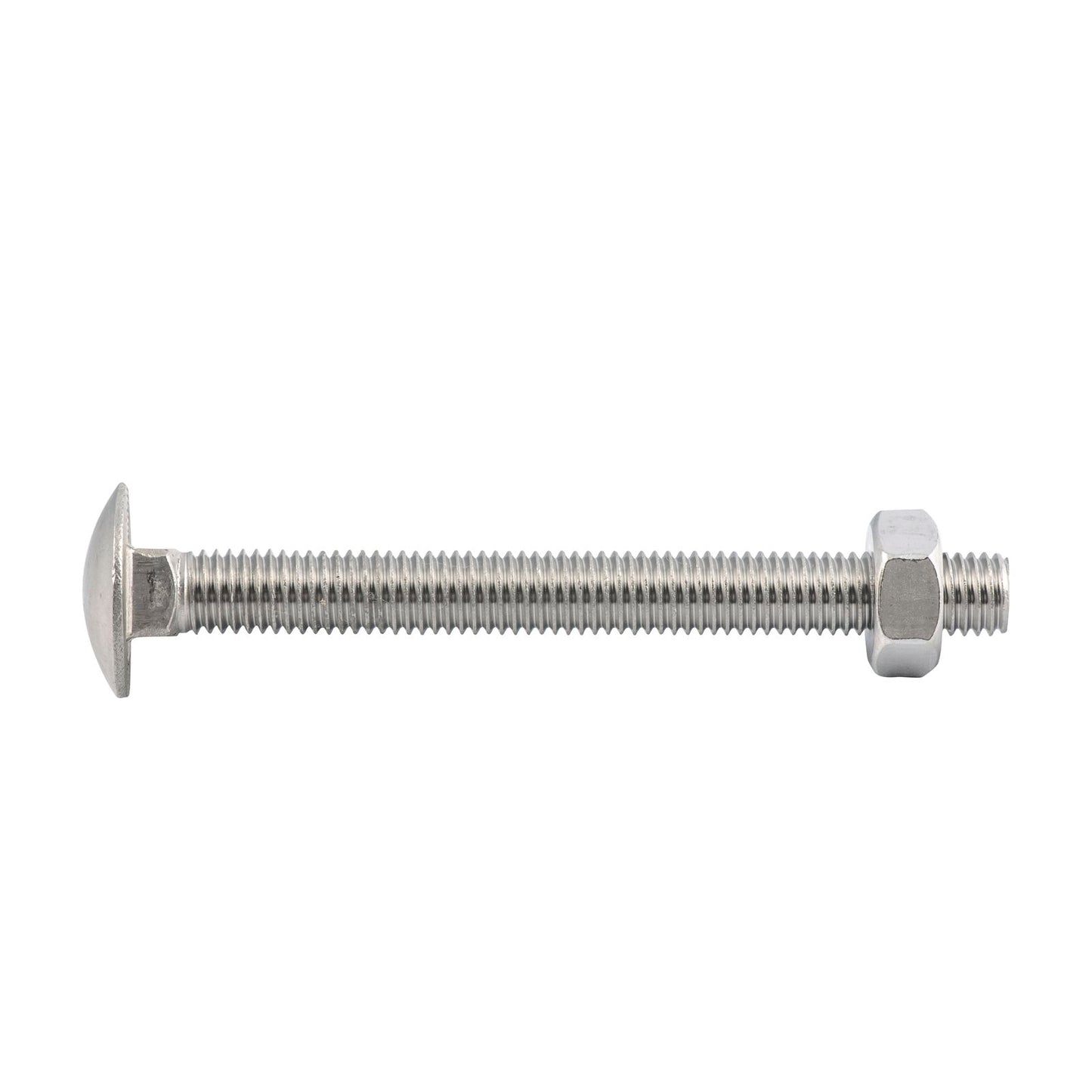 Zenith Cup Head Bolt - M10 x 100mm - Stainless Steel 304