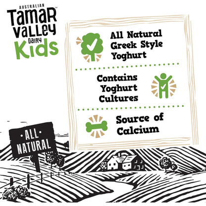 Tamar Valley Dairy Kids Greek Yoghurt Pouch Banana 110g