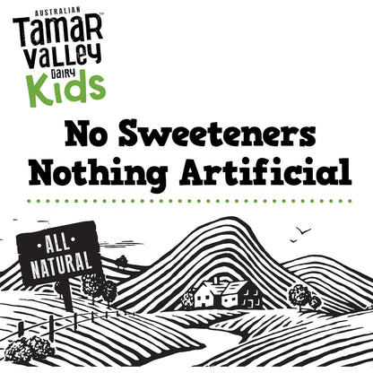 Tamar Valley Dairy Kids Greek Yoghurt Pouch Banana 110g