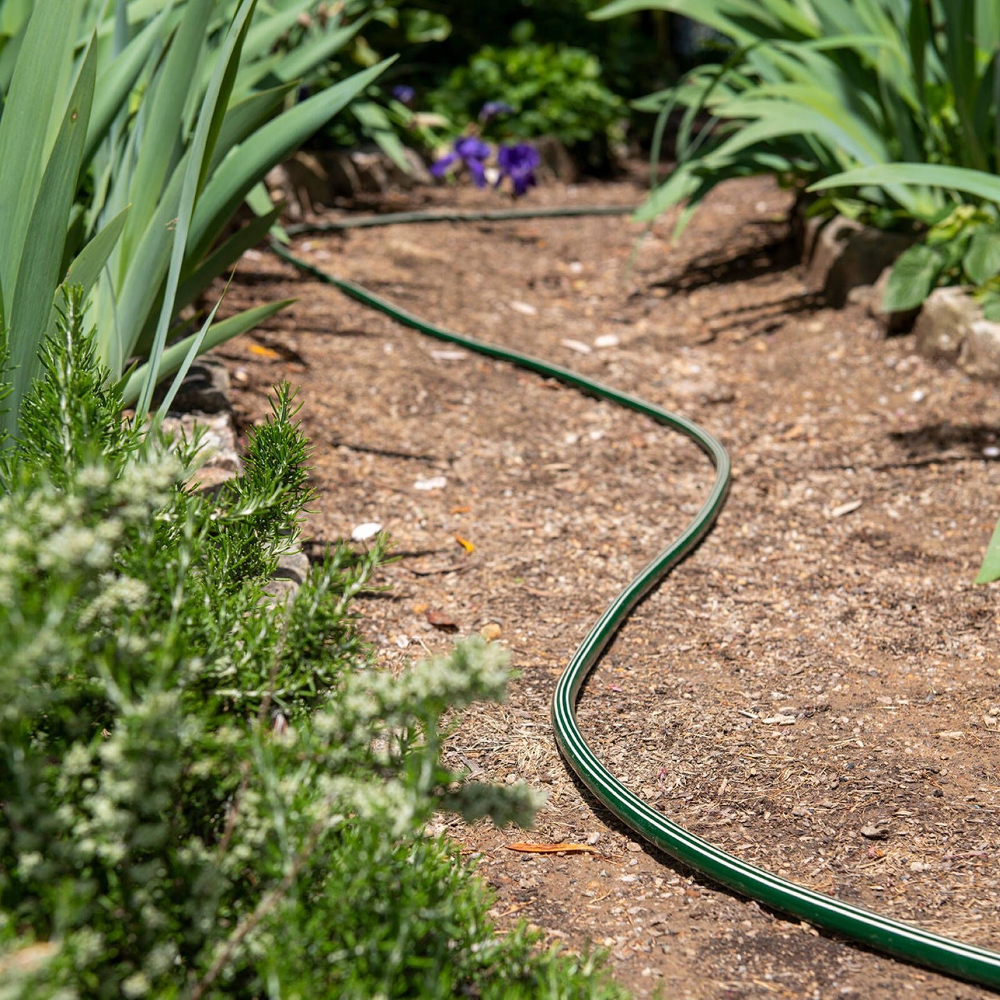 Pope Legacy Garden Hose - 12 x 5m