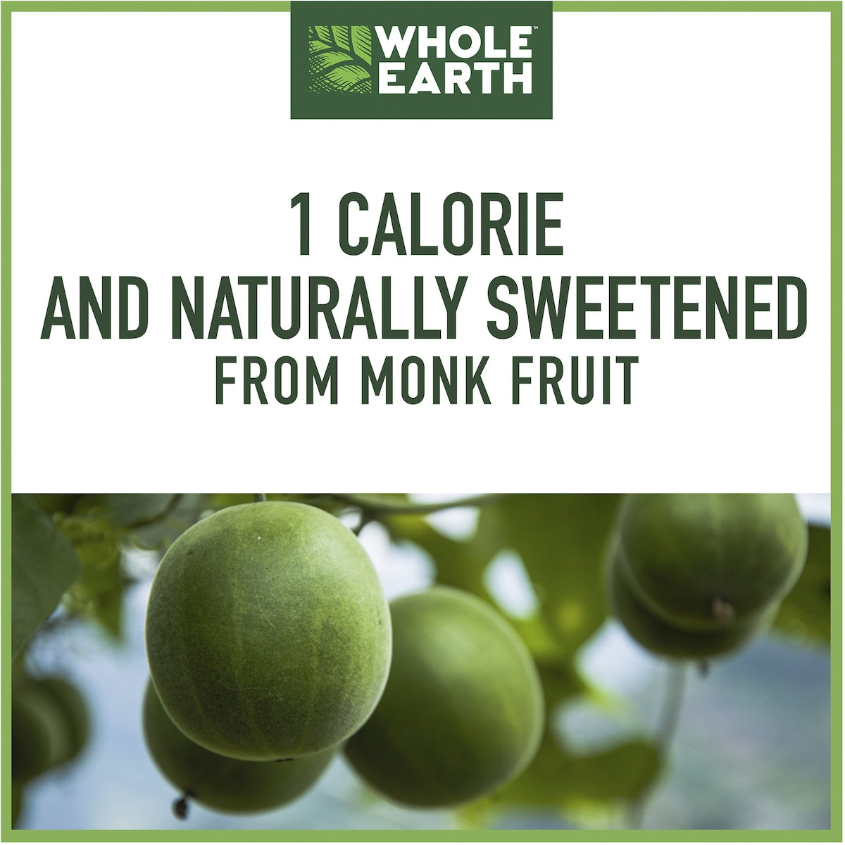 Whole Earth Monk Fruit Raw Sugar Replacement 200g