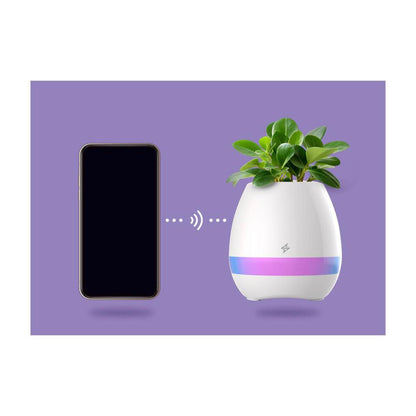 Musical Plant Pot Speaker - 1 Each
