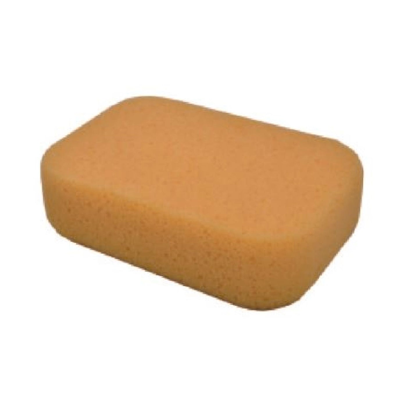 DTA Large Foam Sponge - 160mm