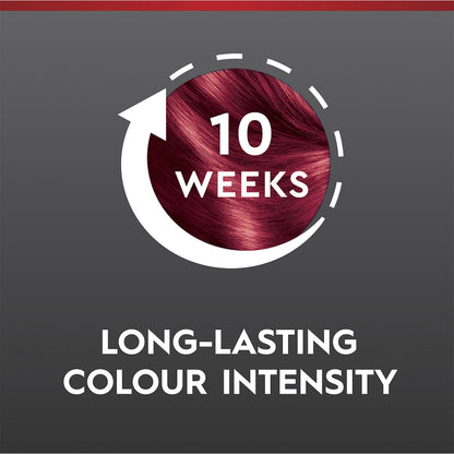 Schwarzkopf Brilliance Permanent Hair Colour Smouldering Red Each
