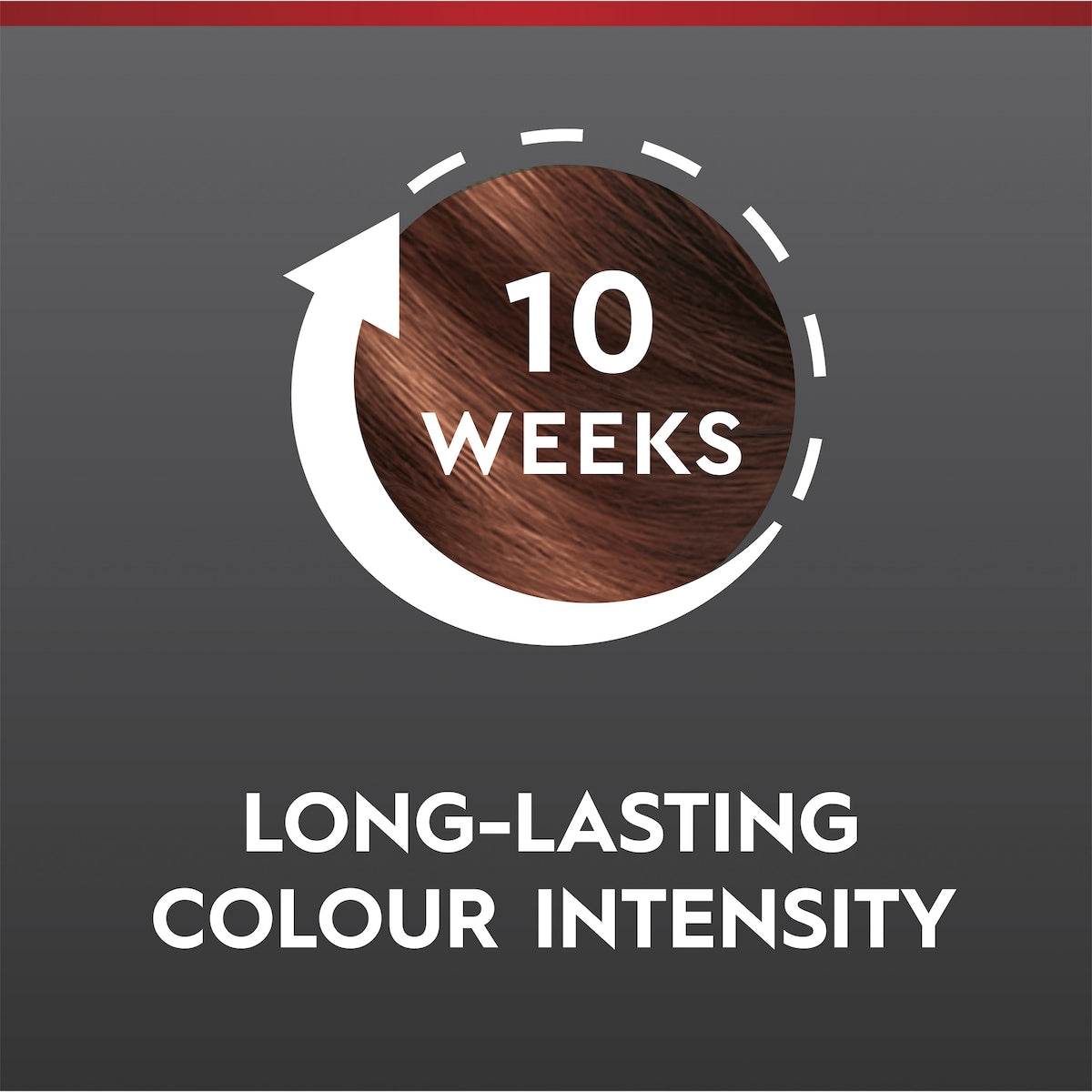 Schwarzkopf Brilliance Permanent Hair Colour Chocolate Rush Each