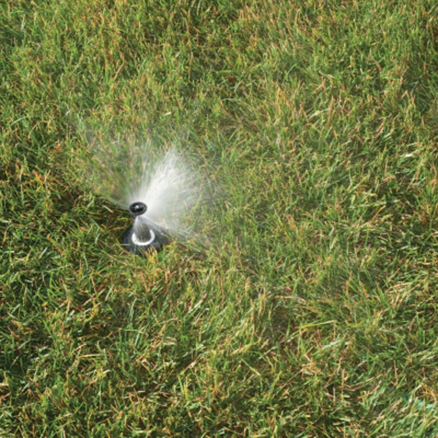 Rain Bird Dual Spray Quarter Pattern Pop-Up Spray Head - 50mm