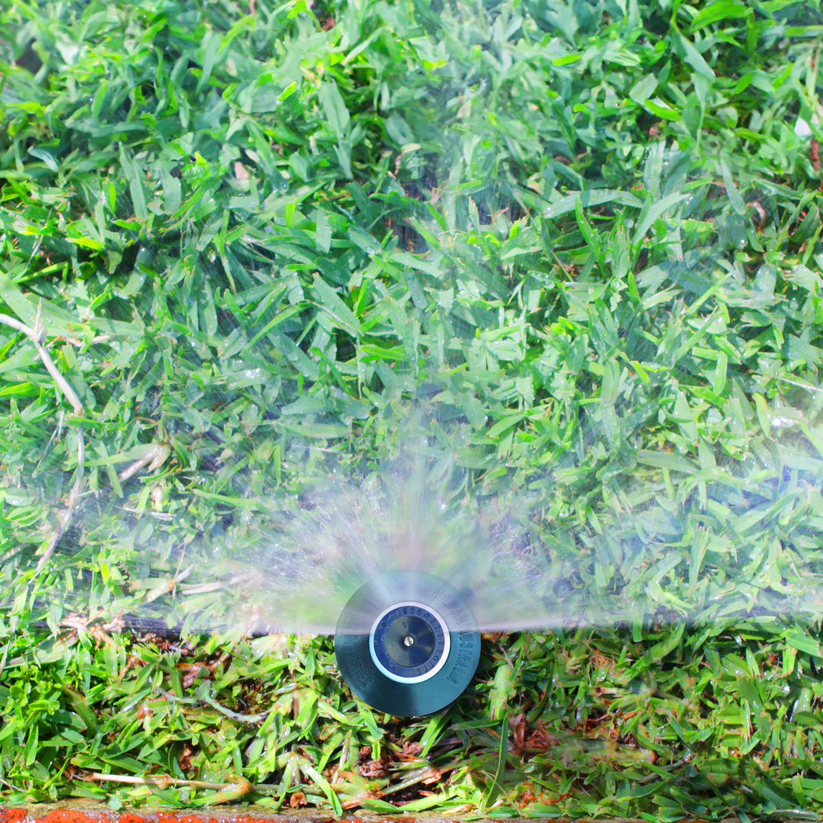 Holman 50mm Fixed Pop Up Sprinkler Half Spray Plastic Easy Installation