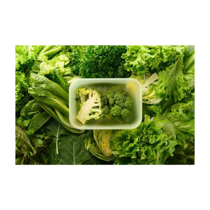 LocknLock Fresh Block Container 1.5l - 1 Each