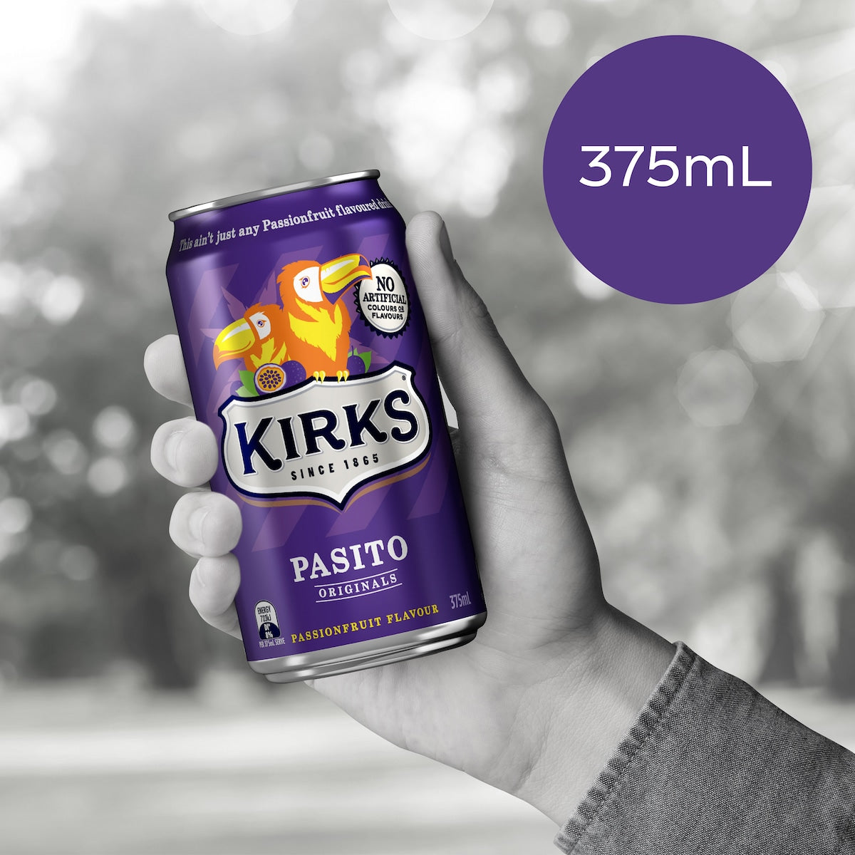 Kirks Pasito Soft Drink Cans 375ml X 10 Pack