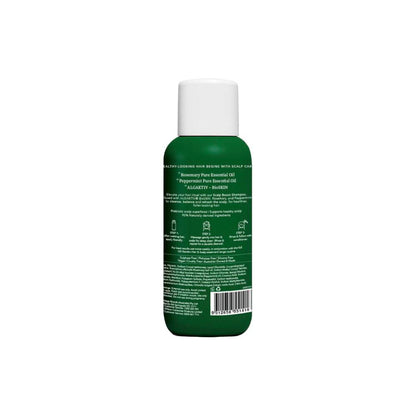 Oil Garden Scalp Recharge Shampoo - 300mL