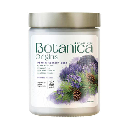Botanica Origins Scented Candle Pine & Spanish Sage - 1 Each