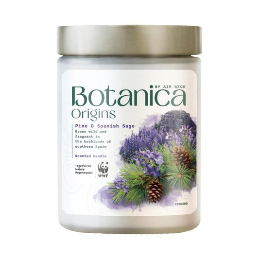 Botanica Origins Scented Candle Pine & Spanish Sage - 1 Each