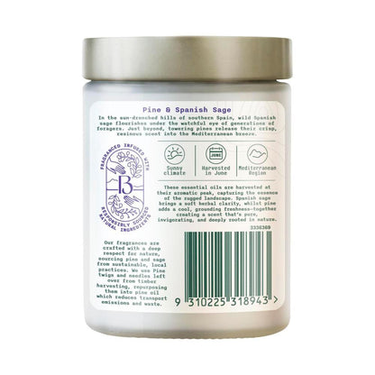 Botanica Origins Scented Candle Pine & Spanish Sage - 1 Each