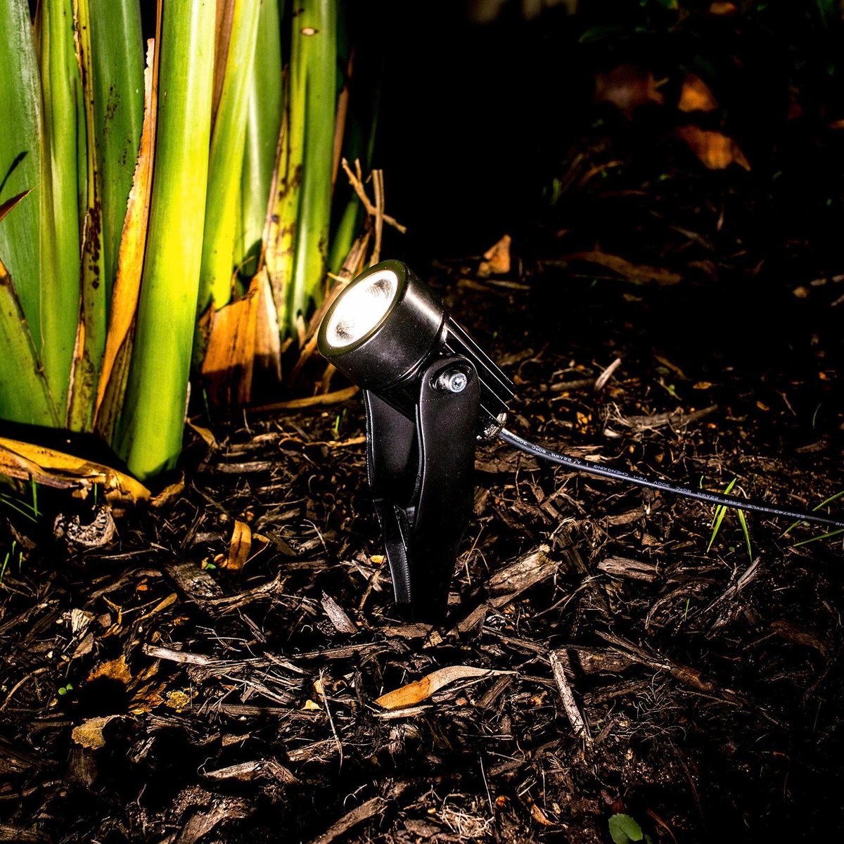 Holman 43mm Warm White Spotlight - 3W LED - Waterproof - DIY Friendly