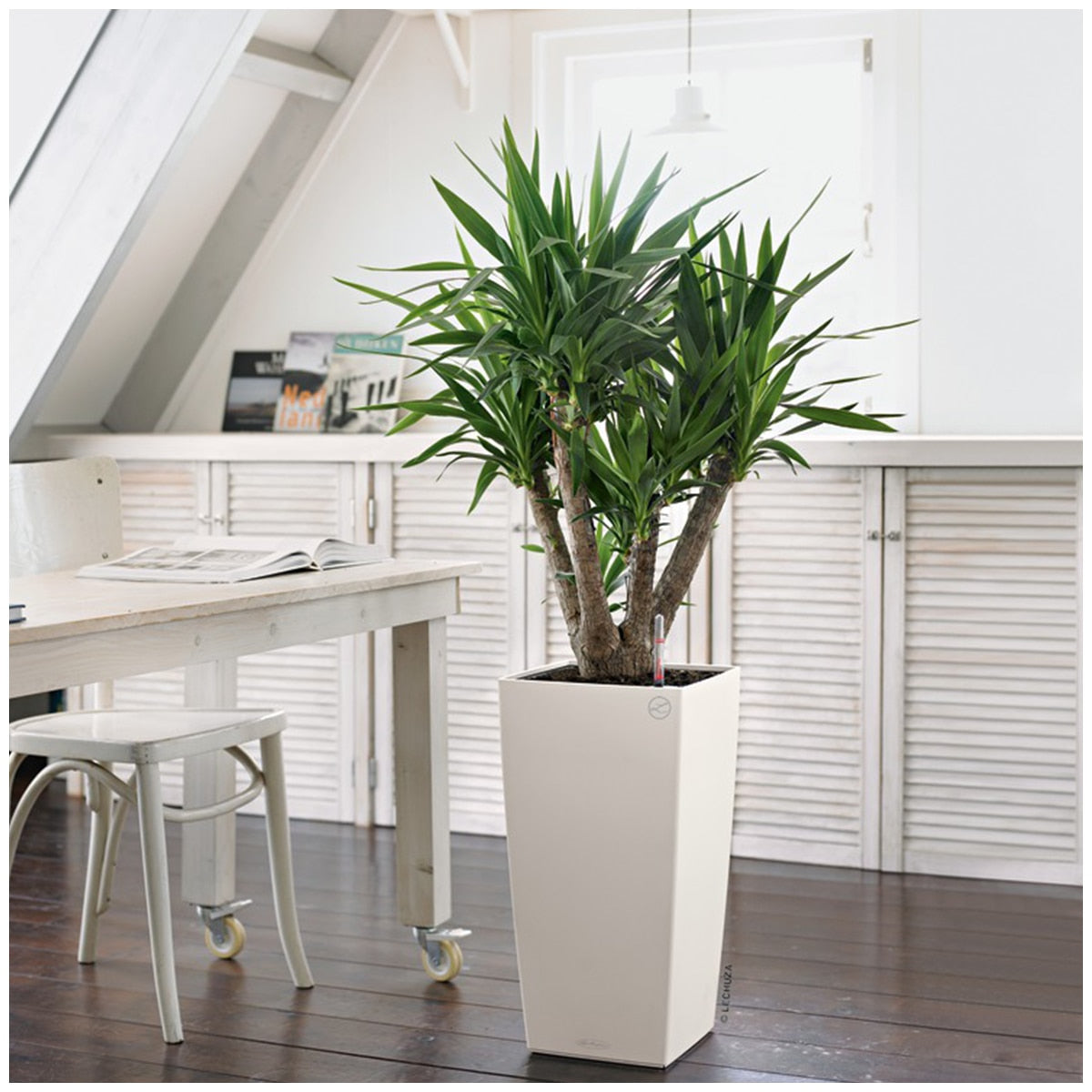 Lechuza Cubico Colour 30 Self-Watering Planter White 30 x 30x56cm