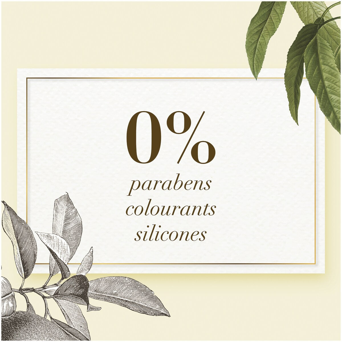 Herbal Essences Bio Renew White Strawberry & Mint Clean Shampoo 400mL