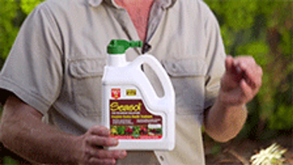 Seasol Seaweed Health Tonic - 4L