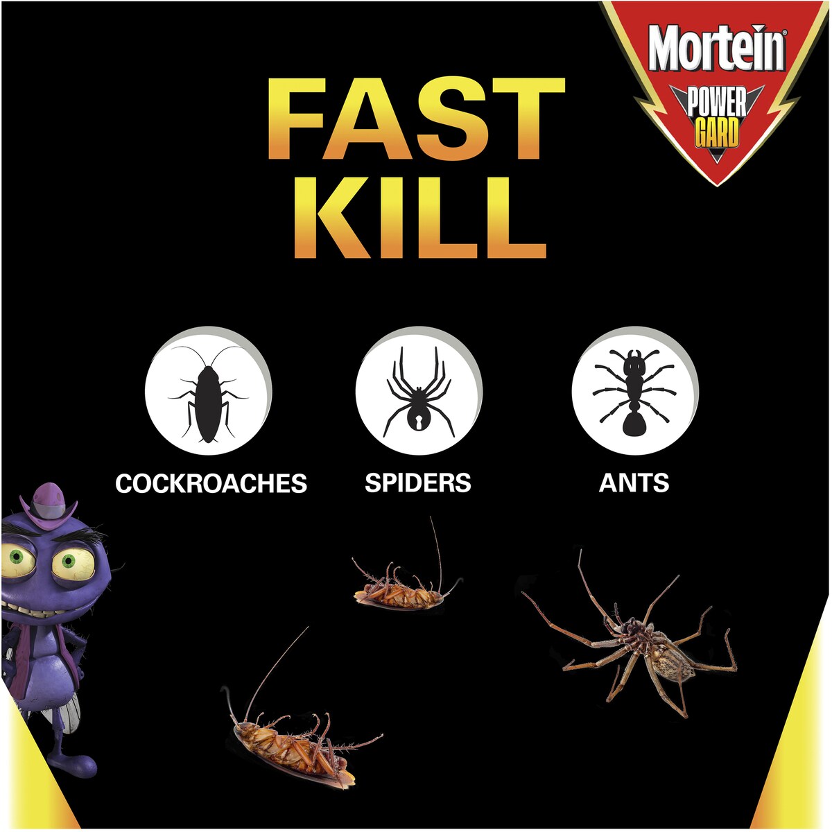 Mortein Powergard DIY Indoor & Outdoor Insect Surface Spray 2L
