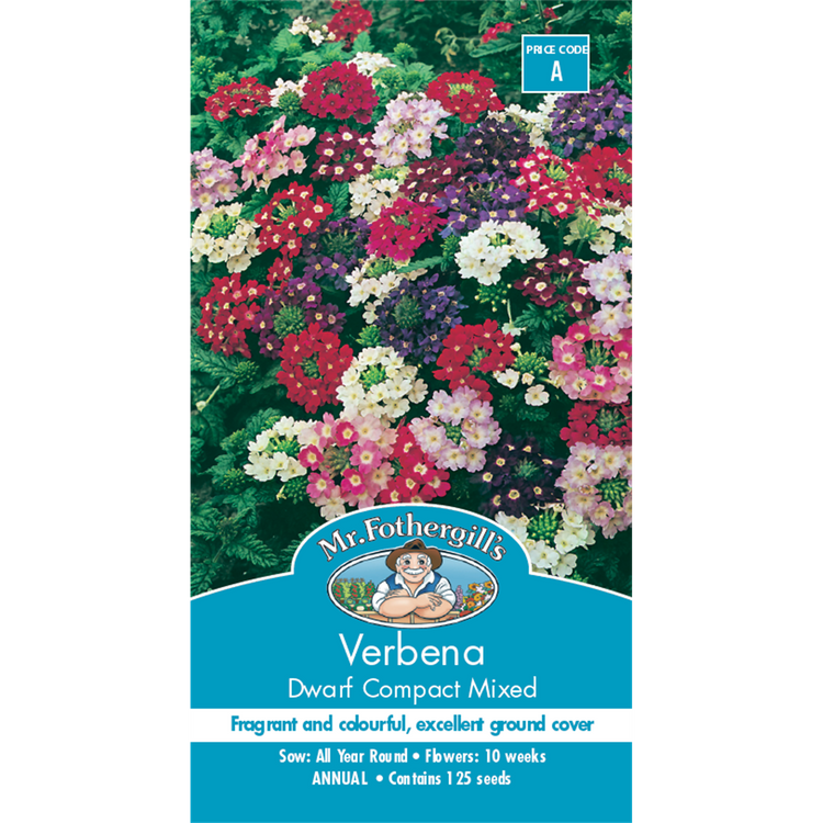 Mr Fothergill Verbena Dwarf Compact Flower Seeds